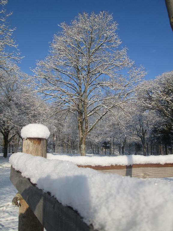 Camping De Masevaux Exteriér fotografie